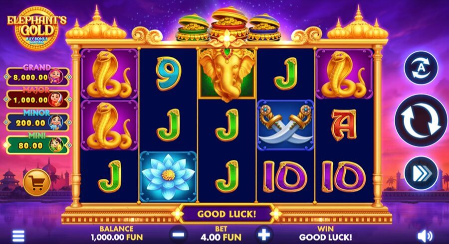 Ivybet gra Elephant's Gold