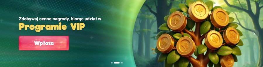 program vip w kasynie safecasino