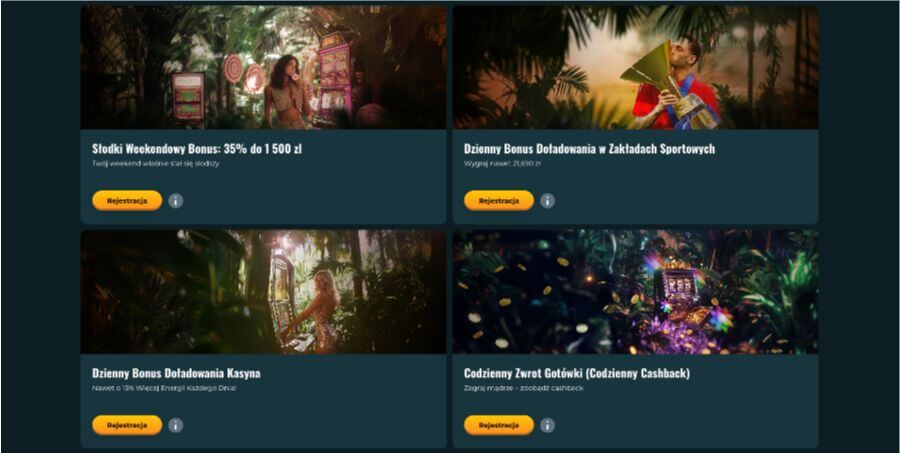 Promocje w kasynie Rokubet