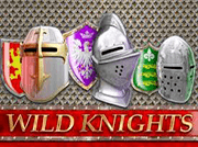 Barcrest Wild Knights slot