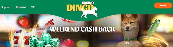 promocja weekendowy cashback w kasynie Dingo promocja weekendowy cashback w kasynie Dingo